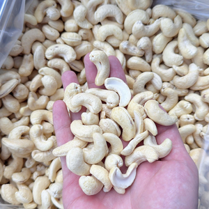 Service 24 Hours Kaju Badam SANTIGO Cashew Nuts European Standards Cashew Kaju Nuts - Product Image 5