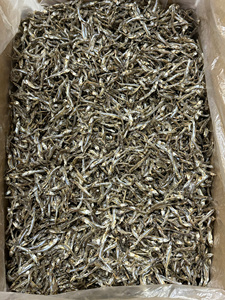 Anchois séchés au soleil de haute qualité 100% naturels, provenant directement de Binh Duong, Vietnam, durée de conservation de 24 mois, à conserver dans un endroit frais et sec, riches en protéines - Product Image 3