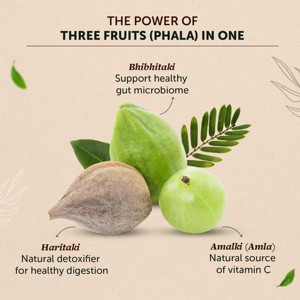 Poudre de Triphala 100% pure OEM/ODM, complément alimentaire traditionnel à base de plantes, poudre de Triphala à base de trois fruits pour le soutien digestif - Product Image 2
