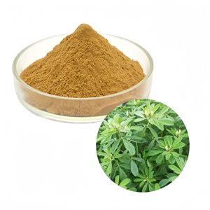 Poudre d'extrait de graines de fenugrec 50% Saponine de fenugrec, extrait végétal en poudre pour l'agriculture et l'alimentation animale - Product Image 1