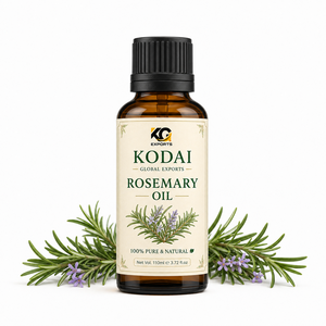 น้ำมันโรสแมรี่โคได 100% บริสุทธิ์จากธรรมชาติ ชนิดน้ำ พร้อมปลั๊กแบบ US สำหรับดูแลผิวและเส้นผม จากทัมมิลนาฏ - Product Image 1