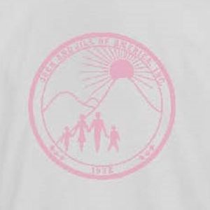 เสื้อยืดคอกลมแขนสั้นสีขาวพิมพ์ลายกราฟิกสีชมพูเสื้อผ้าลำลองสวมใส่ได้ทุกวันเสื้อผ้าสตรีทแวร์สวมใส่สบายเสื้อผ้าสำหรับทุกเพศ - Product Image 3