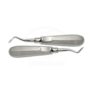 Juego de Elevadores de Raíces de 2 Piezas, Acero Inoxidable, para Mano Derecha e Izquierda, Punta Afilada de 5 mm, 6 Pulgadas, Instrumento Dental - Product Image 2
