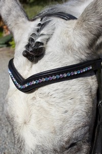 สายคาดหน้าผากม้าหนังแท้ประดับคริสตัล Annabelle Equestrian ขายดี คุณภาพสูง ผู้จัดจำหน่ายสายคาดหน้าผากม้า ขายส่ง Preciosa - Product Image 2