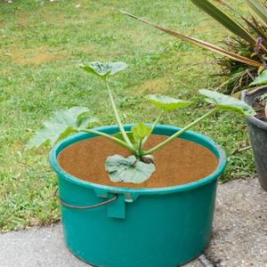 Natural coir plant <b>pot</b> cover disc ring coconut fiber weed preventing mat <b>tree</b> protection mats - Product Image 6
