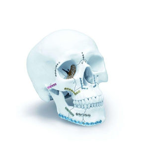 Système de fixation maxillo-faciale en maille de titane pour implant neurochirurgical, plaque de verrouillage et vis, par Mahfooz Instruments - Product Image 5