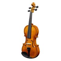 New 3/4 Acoustic Violin Set with Hard Case Bow Shoulder Rest Rosin Extra Strings and Sourdine