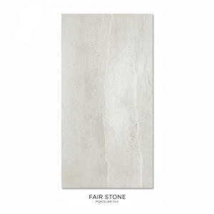 Azulejos de Porcelana Premium Mate de 60x120 para Sala de Estar, Dormitorio y Baño, Piso y Pared de Interior Moderno - Product Image 5