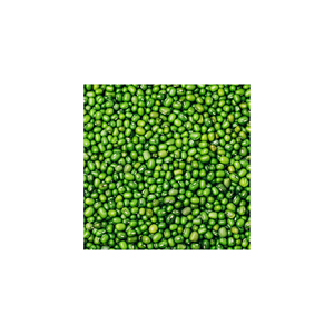 Vente en gros de haricots mungo verts biologiques de haute qualité (Gram/Moong) en vrac, paquet de 25 kg, prêts à l'emploi - Product Image 5