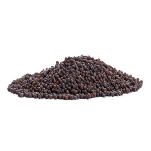 Factory Direct Bulk Supply Premium Natural White Mustard Seed Herbal <b>Plant</b> for Spice & Culinary Industry - Product Image 2