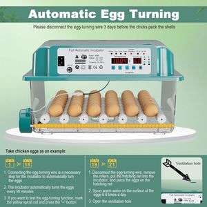 Incubatrice per 36 Uova di Alta Qualità, Automatica con 4 Modalità, per Uova di Gallina, con Funzione di Rotazione, Realizzata in PC e PP - Product Image 6