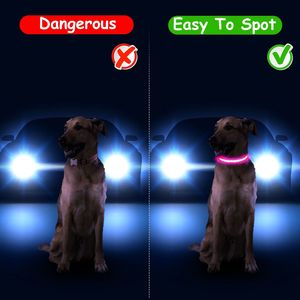Collare per Cani LED con 9 Colori, Impermeabile IPX7, Ricaricabile USB, Collare Luminoso di Sicurezza Notturna per Animali Domestici - Product Image 3