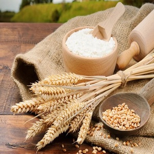 High Quality <b>Wheat</b> Flour Packed In Bulk For Traders <b>Wheat</b> Flour Retains Rich Flavor And Soft Fine Texture - Product Image 6