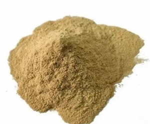 Suministro a granel de polvo de cúrcuma blanca, ideal para minoristas y distribuidores que buscan productos herbales de alta calidad - Product Image 2