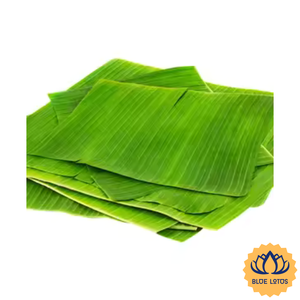 [MEILLEURE VENTE] BLUE LOTUS FARM Feuilles de bananier vertes IQF de qualité A, en vrac, provenant du Vietnam, pour la cuisine des fêtes - Product Image 1