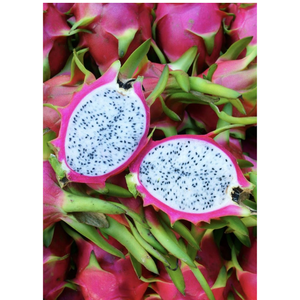 Verse Dragon Fruit van directe leverancier uit Vietnam - Premium Witte Dragon Fruit B2B in bulk - Dragon Fruit fabrikant leverancier