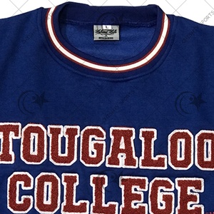 Sudadera de mujer de estilo universitario con parche de chenilla pesado personalizado OEM jersey de cuello redondo polar - Product Image 2