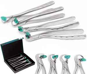 Forceps d'extraction dentaire en acier inoxydable, modèle anglais, instrument professionnel d'extraction dentaire fabriqué au Pakistan par Dentavex - Product Image 6