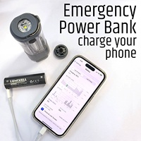 Lampu senter LED 450lm IPX4, lampu senter berkemah Ultra terang 4000mAh, USB-C dapat diisi ulang dengan Power Bank