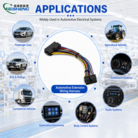 Arnés de Cableado de Extensión Multipin Personalizado, Conector de Plástico Negro con Bloqueo, Cable de Extensión Automotriz con Código de Color