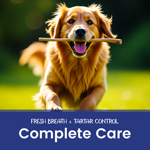 OEM/ODM Enzymatic Dog <b>Toothpaste</b> with Baking Soda and Calcium Chicken <b>Flavor</b> for Plaque Tartar and Fresh Breath 6.2 Oz - Product Image 3
