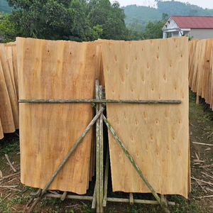 Placage de bois blanc de qualité supérieure du Vietnam pour la fabrication de contreplaqué - Product Image 1