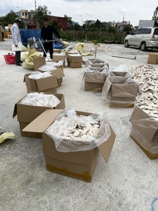 Hueso de Sepia Seco a Granel, Fuente de Calcio Natural para Aves, Alimento para Mascotas, Proveedor de Vietnam - Product Image 6