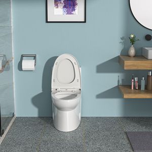 WC in ceramica a doppio filo monopezzo con chiusura morbida - Product Image 1
