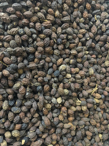 Graines de papaye de qualité supérieure, graines naturelles de haute qualité pour la vente en gros, la distribution en vrac et les marchés d'exportation - Product Image 4