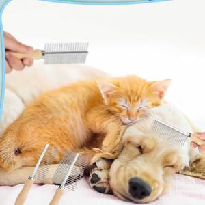 Peine para Mascotas con Acabado Antiestático, Diseño de Dientes Largos para Desenredar el Pelo y Cuidar el Pelaje Profundo - Product Image 5