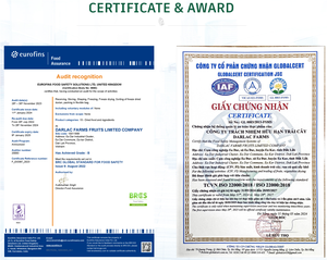 Fruta del Dragón Congelada IQF Premium de Darlac Farms, Proveniente de Dak Lak, Vietnam - Envasada al Vacío, Exportación a Granel, Marca Privada y Proveedor Certificado OEM - Product Image 6