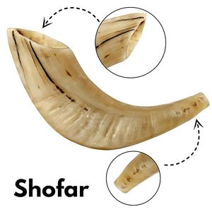 Auténtico Cuerno de Shofar, Instrumento Musical Judío Hecho a Mano, Asequible, para Oración, Rituales, Prácticas Espirituales y Ceremonias - Product Image 4