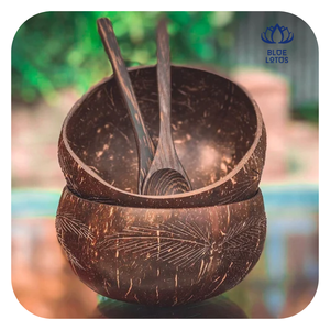 Bol en coquille de noix de coco fait main, vaisselle durable pour la maison et les restaurants - BLUE LOTUS - Product Image 1