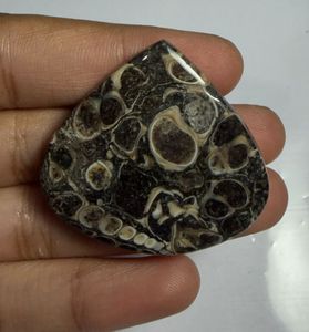Cabujón de ágata Turritella en forma de corazón, mineral pulido para la fabricación de joyas - Product Image 4