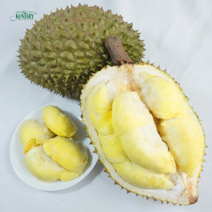 รองรับ OEM ทุเรียนสดธรรมชาติแท้ ราคาส่งออก คุณภาพพรีเมียม ผลไม้สดเพื่อสุขภาพจากเวียดนาม - Product Image 1