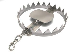 Trampa multiusos de metal para animales, adecuada para terrenos agrícolas, jardines y gestión de propiedades rurales. - Product Image 3
