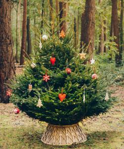 Falda de árbol de ratán más vendida, collares de árbol de Navidad para decoración navideña, logotipo y embalaje personalizados hechos en Vietnam - Product Image 4