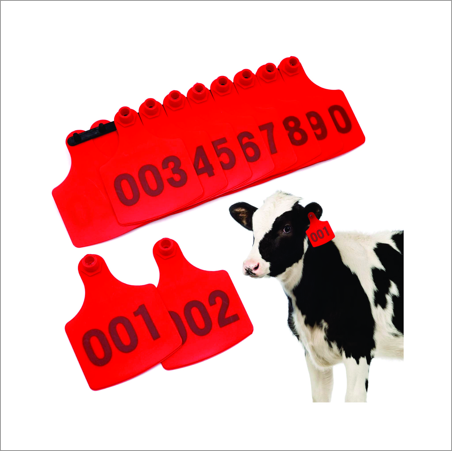 Hot Sale Male/Female Same Size Stainless Steel Animal Ear Tag for Pigs/Sheep/Goats/Cows/Cattle Manual & Plug-In Powered Farm Use