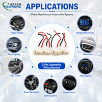 Conector de Cableado Automotriz de 2 Pines para Luces LED de Automóvil