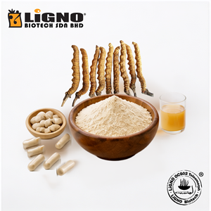 ผงเห็ดถั่งเช่าสีทอง LiGNO OCS02 |   อาหารเพื่อสุขภาพเกรดอาหาร |   การปลูกพืชประดิษฐ์ |   ส่วนผสมเครื่องดื่มสำเร็จรูปแบบปริมาณมาก | - Product Image 1