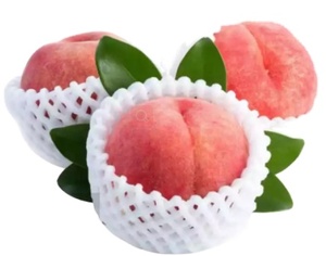 Lưới Xốp Ổi Màu Tùy Chỉnh Lưới Bọc Bảo Vệ Trái Cây Xốp Nhựa EPE - Product Image 3