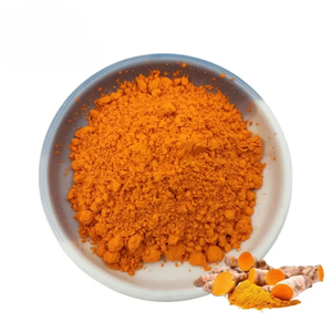 Bulk Supply 100% Pure Curcumin Root <b>Extract</b> Powder (Superior Curcumin <b>Extract</b> 95% Curcuminoids) for Immune & Joint Support - Product Image 2