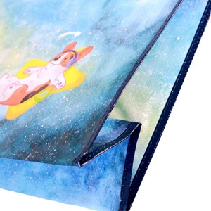 PP Woven Tote Bag Manufacturer Custom Laminated Waterproof Recycled PP Woven Shopping Bag Reusable OEM/ODM in Vietnam - Product Image 5