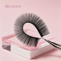 Extensions de cils personnalisées, prix d'usine premium, cheveux synthétiques doux pour un maquillage quotidien naturel