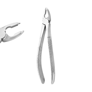 Fórceps de agarre profundo Fig 35 Premolares superiores Fórceps de extracción Premium Patrón inglés Juego dental Instrumentos quirúrgicos Pakistán - Product Image 1