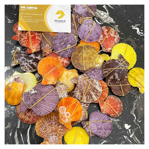 Decorative Polished Natural Love Seashell Snail Shells Rustic Eco-Friendly Home Party Christmas Large Assorted Ocean Bulk Mix - Product Image 2