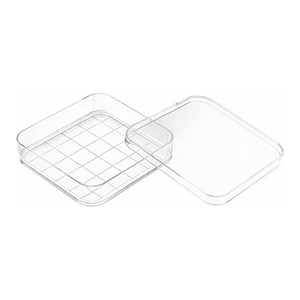 Placa de Petri Cuadrada de Plástico de 100 mm con Marcas Graduadas para Cultivo Celular e Investigación Microbiológica - Product Image 1