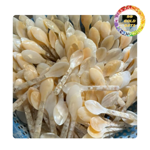 Elegant mother of pearl spoon for dessert tea and coffee natural shell spoon for kitchen use - Product Image 5