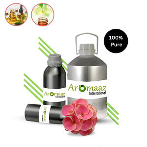 Aceite Esencial de Euphorbia Orgánico Puro al por Mayor, Aceite para el Cuidado Corporal y Aromaterapia, Revitalizador de Piel para Todo Tipo de Piel, Aromaaz - Product Image 5