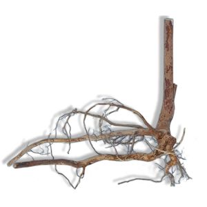 Eco-Friendly Decorative Aquascape Terrarium <b>Vivarium</b> Spider <b>Wood</b> Excel Sustainable Aquarium Decor - Product Image 4